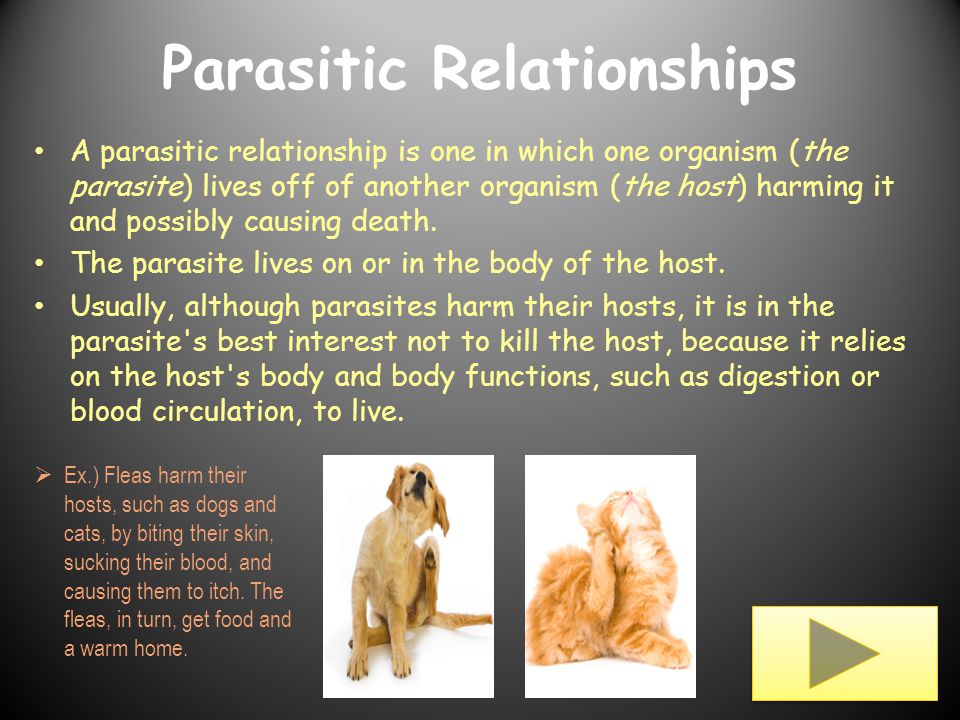 RELATIONSHIP FISHES AND THEIR PARASITES